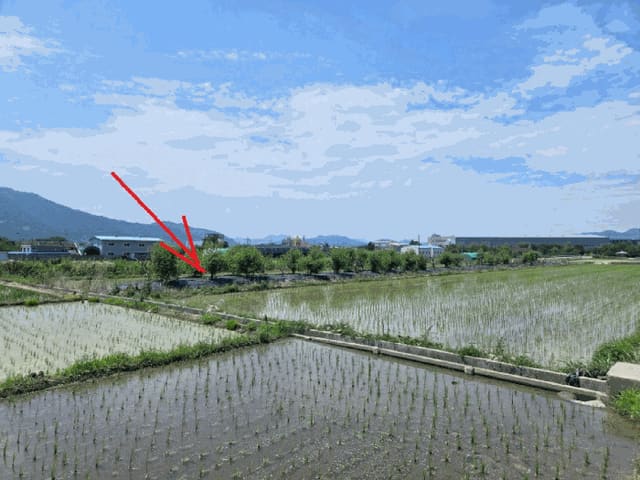 B0003202025013003139713.jpg