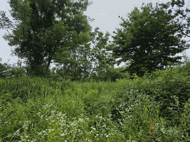 B000320202501300314152.jpg