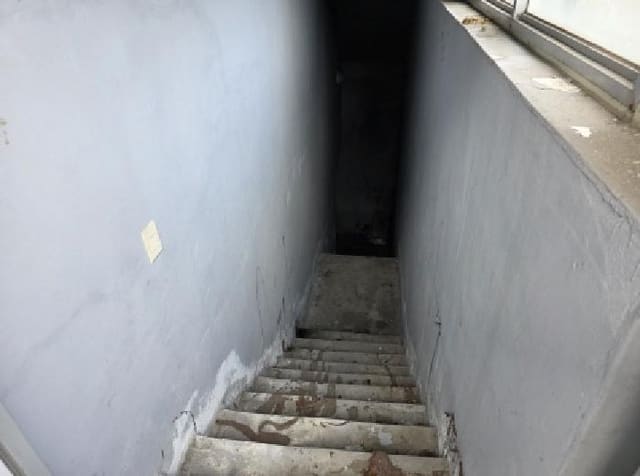 B000320202501300315021.jpg
