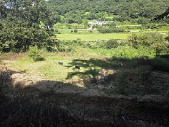 B000320202501300315213.jpg