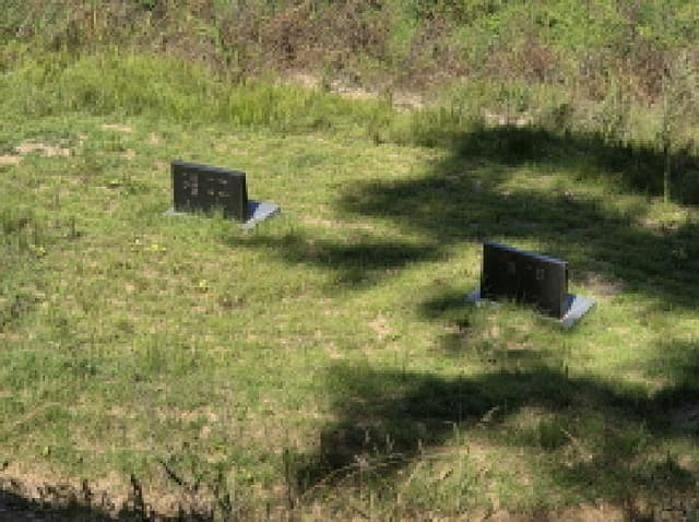 B000320202501300315211.jpg