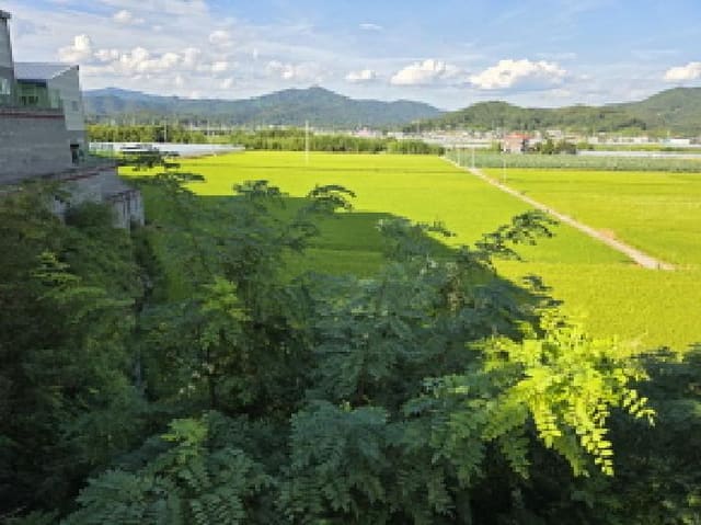 B000320202501300315774.jpg