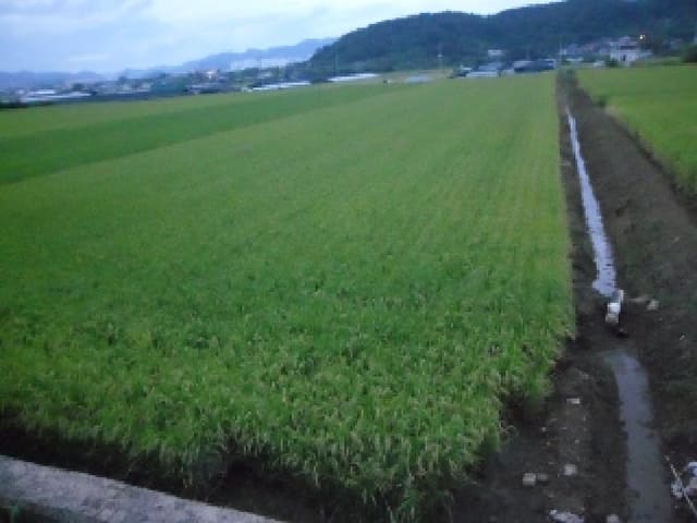 B000320202501300315782.jpg