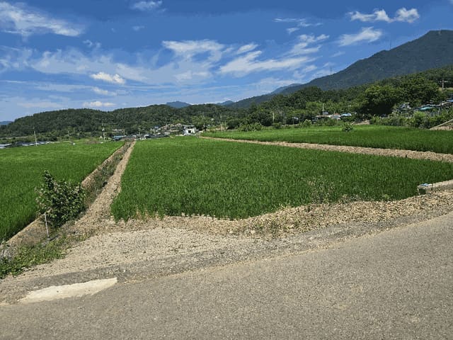 B000320202501300315784.jpg