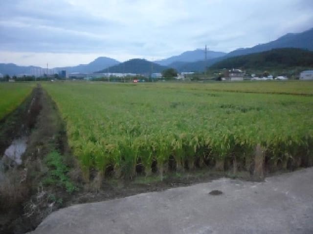 B000320202501300315781.jpg