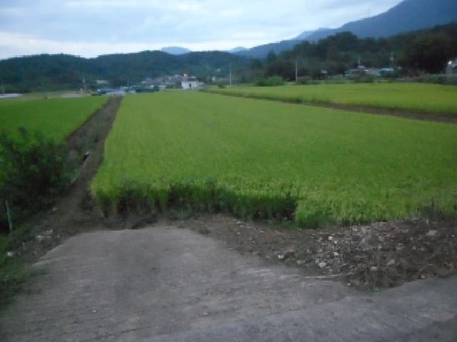 B000320202501300315783.jpg