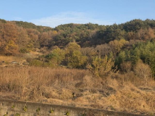 B000320202501300316064.jpg