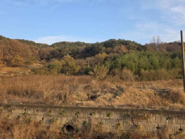 B000320202501300316062.jpg