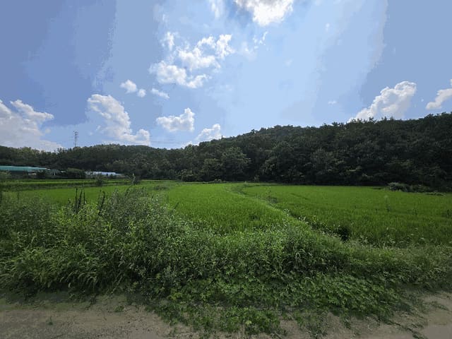 B000320202501300316103.jpg