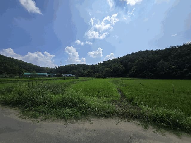 B000320202501300316102.jpg