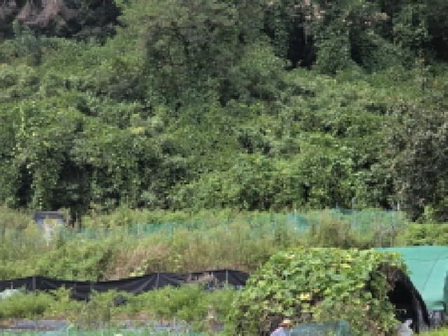 B000320202501300316191.jpg