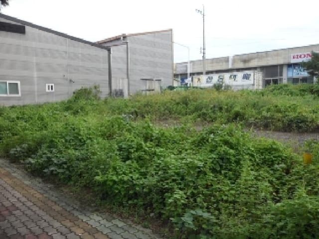 B000320202501300316591.jpg