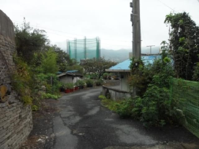 B000320202501300316631.jpg