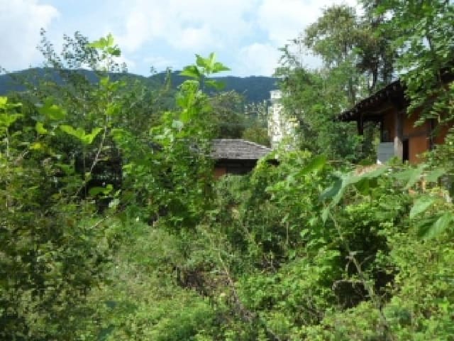 B000320202501300316694.jpg