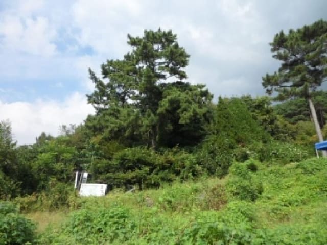 B000320202501300316691.jpg