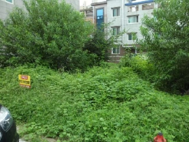 B000320202501300316991.jpg