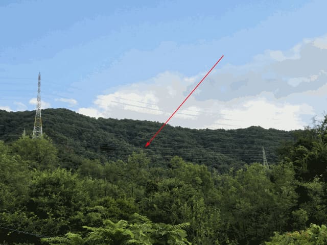 B000320202501300317015.jpg