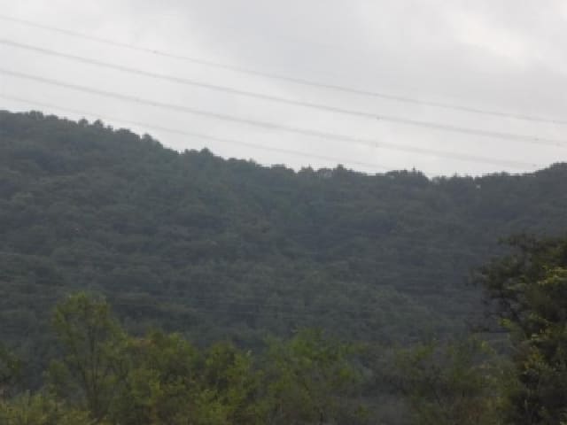 B000320202501300317011.jpg