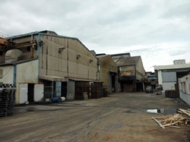 B000320202501300317464.jpg