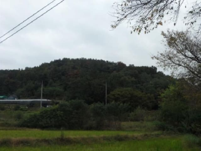 B000320202501300317471.jpg