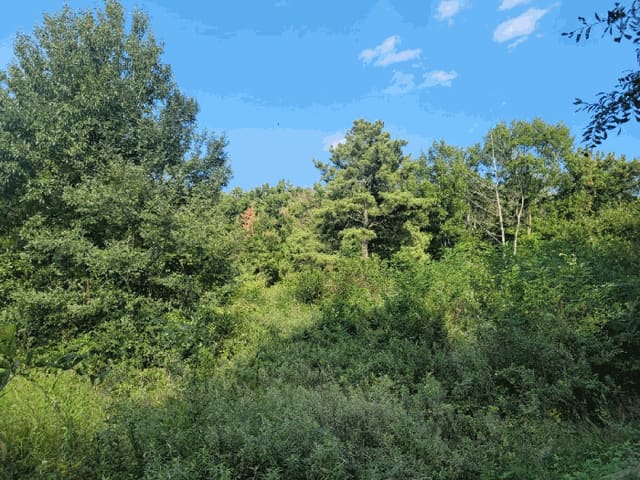 B000320202501300317663.jpg