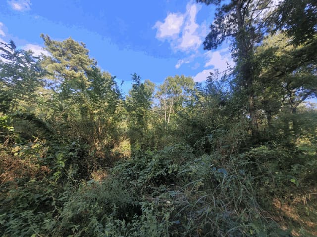 B000320202501300317664.jpg