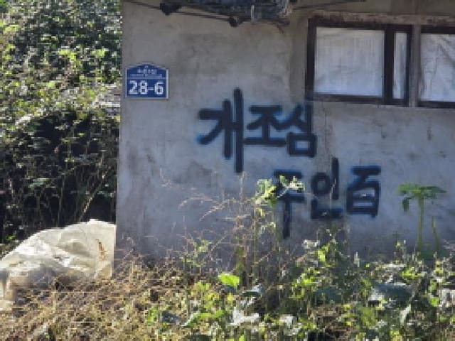 B000320202501300317971.jpg