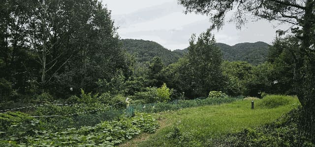 B0003202025013003180013.jpg