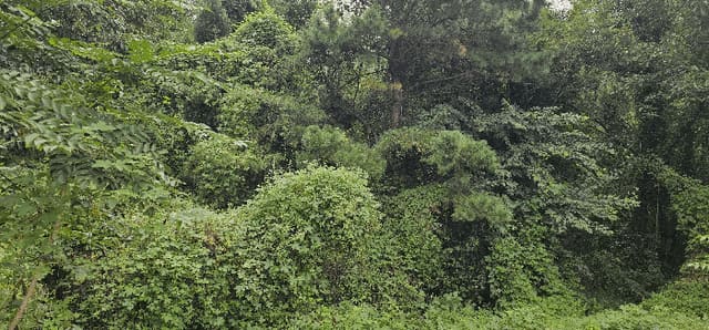 B0003202025013003180011.jpg