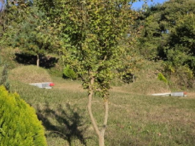 B000320202501300318003.jpg