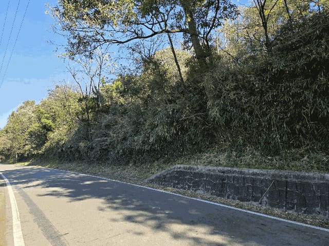 B000320202501300319394.jpg