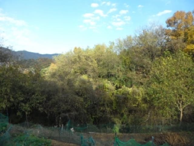B000320202501300319543.jpg