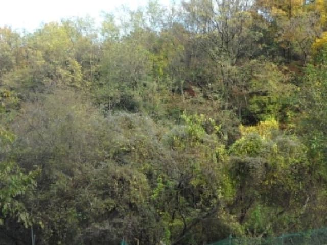B000320202501300319542.jpg