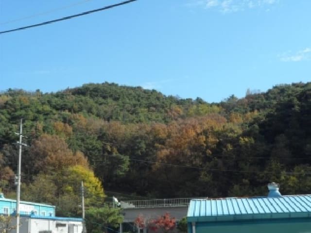 B000320202501300319541.jpg