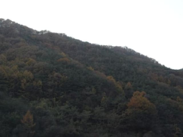 B000320202501300319612.jpg