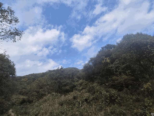 B000320202501300319613.jpg