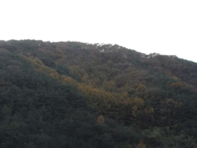 B000320202501300319611.jpg