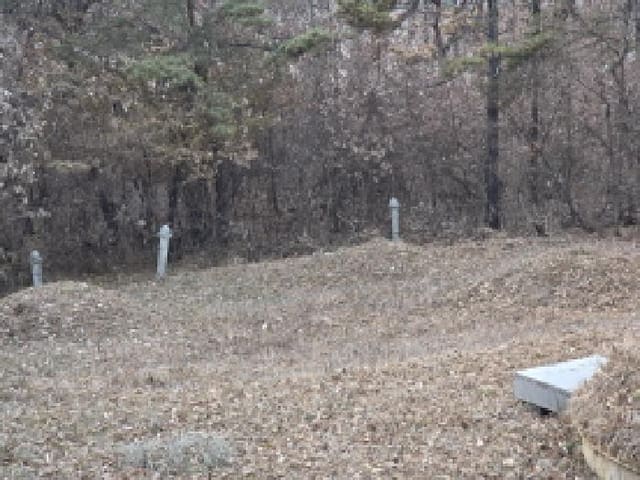 B000320202501300319782.jpg