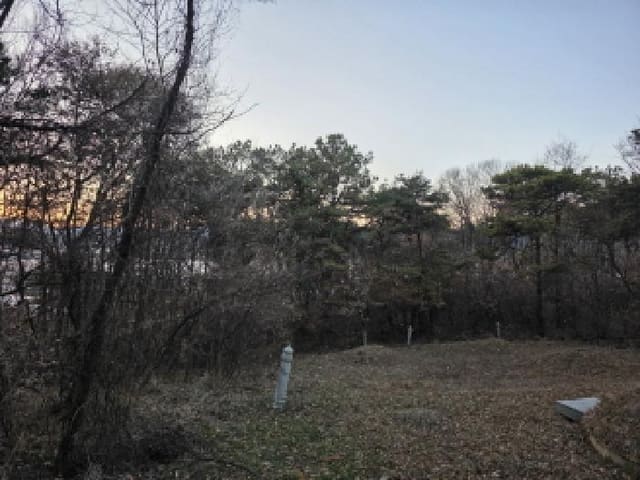 B000320202501300319781.jpg