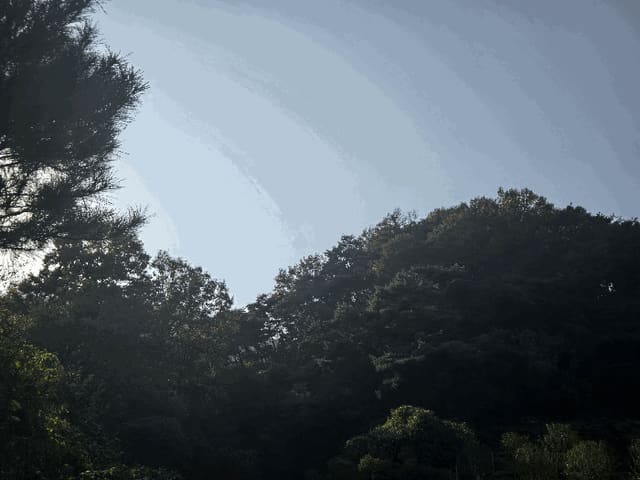 B0003202025013003198325.jpg