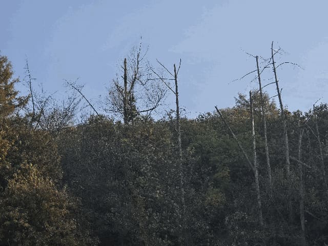 B0003202025013003198327.jpg