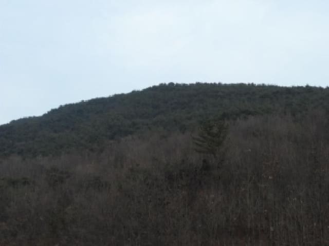 B000320202501300319831.jpg