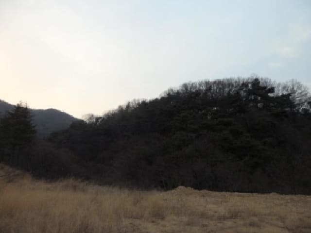 B000320202501300319832.jpg