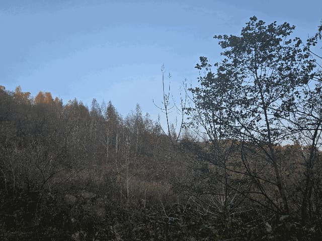 B0003202025013003198328.jpg