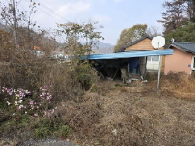 B000320202501300319871.jpg
