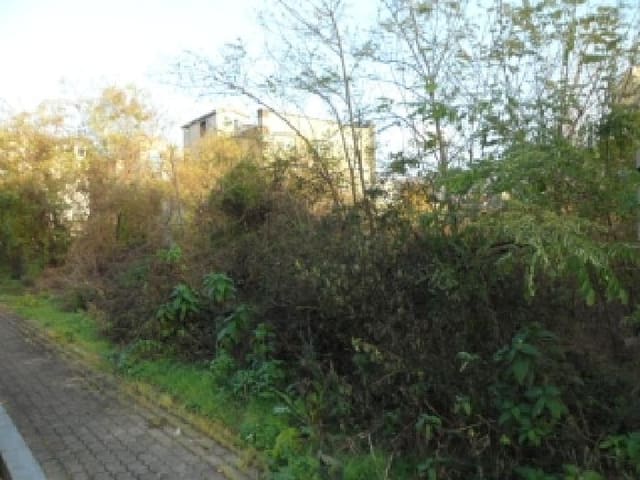 B000320202501300320452.jpg