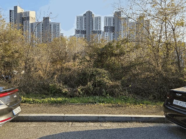 B000320202501300320454.jpg