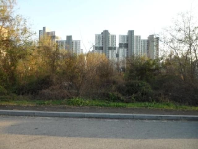 B000320202501300320451.jpg