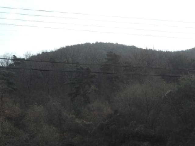 B000320202501300320561.jpg