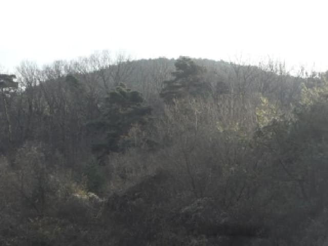 B000320202501300320562.jpg